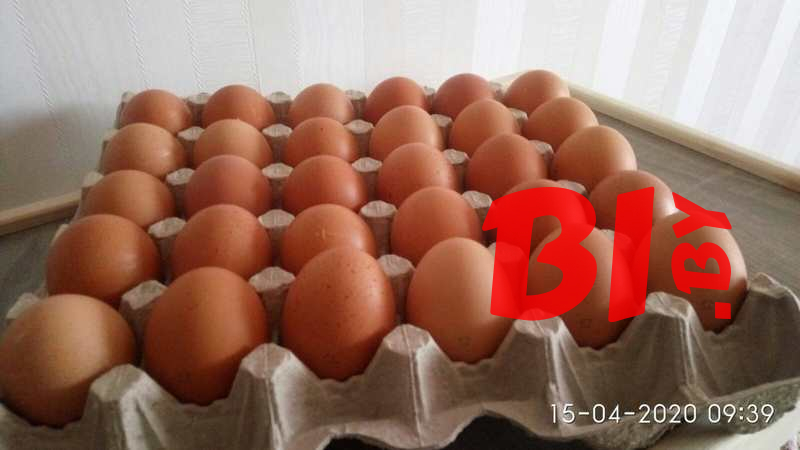 С1