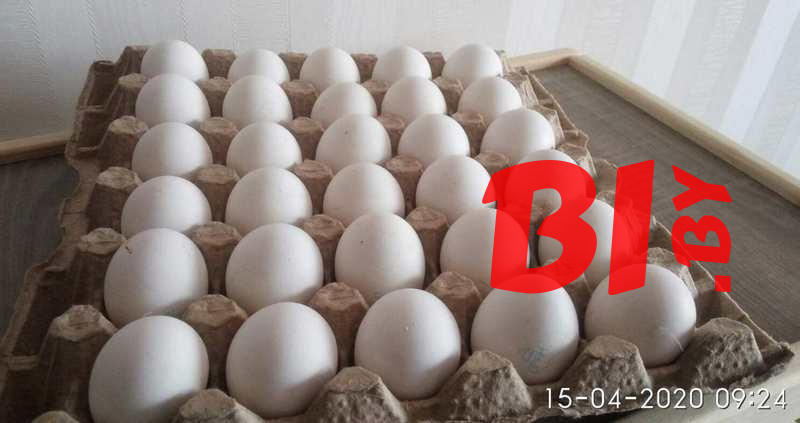С2